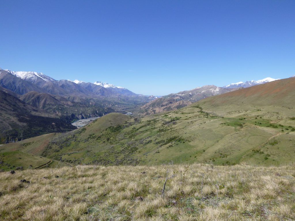 Quail Flat NZ Hikes