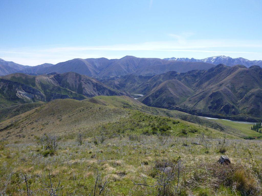 Quail Flat NZ Hikes