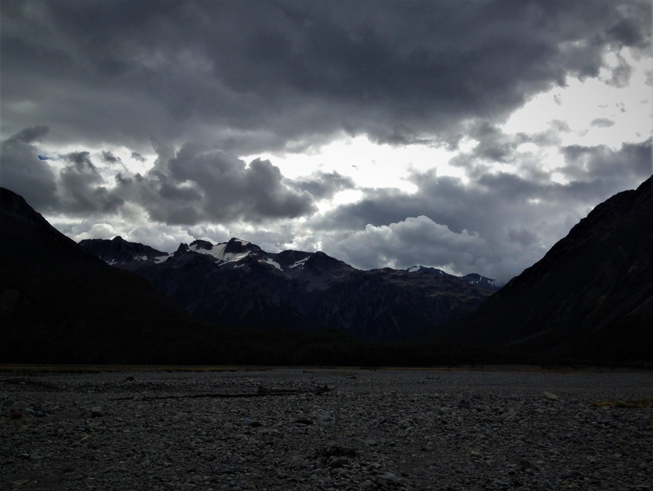 Plague of Mice AntiCrow Hut NZ Hikes