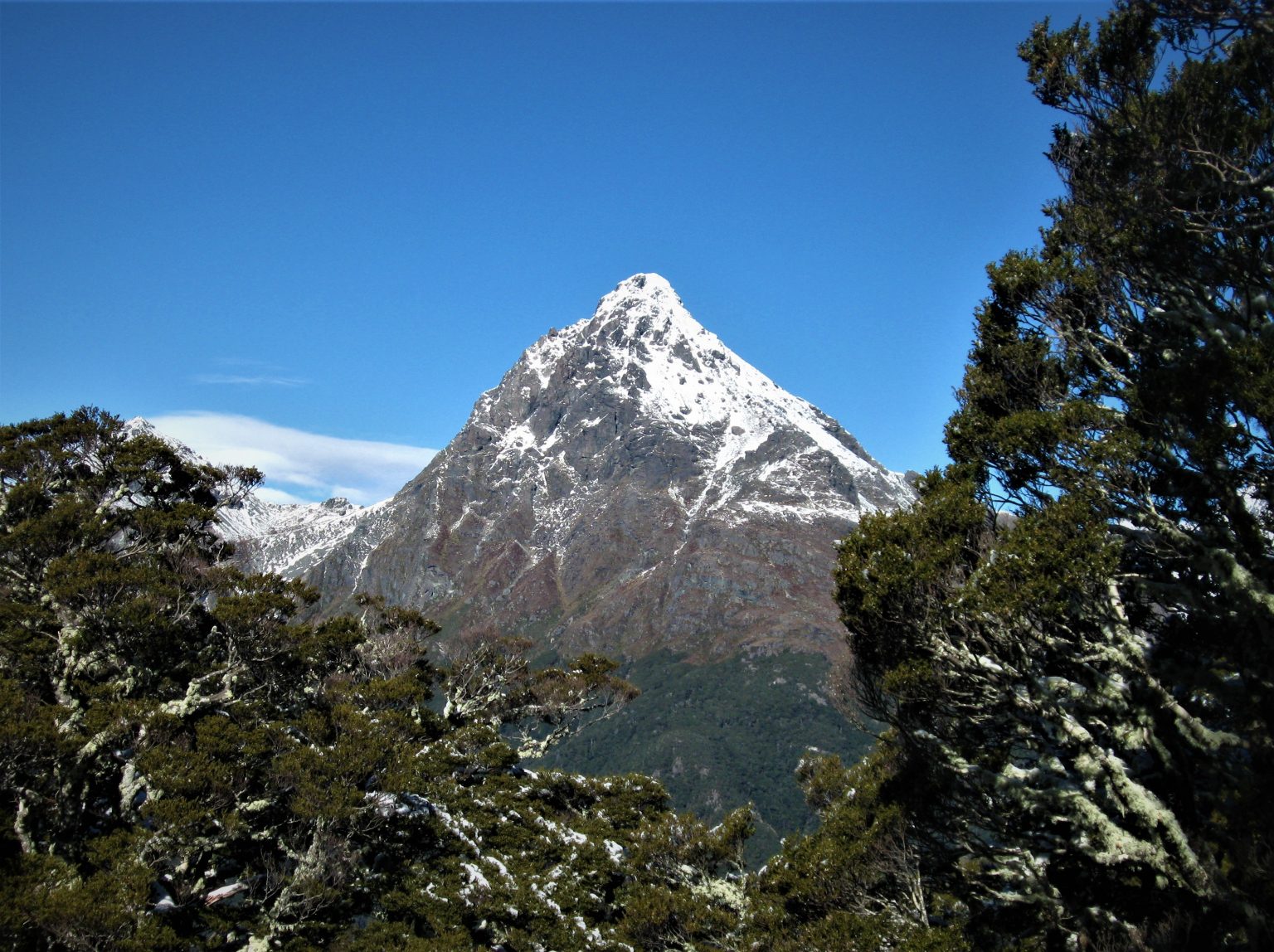 Sweet As (Part One) Sugarloaf Pass(1154m) NZ Hikes