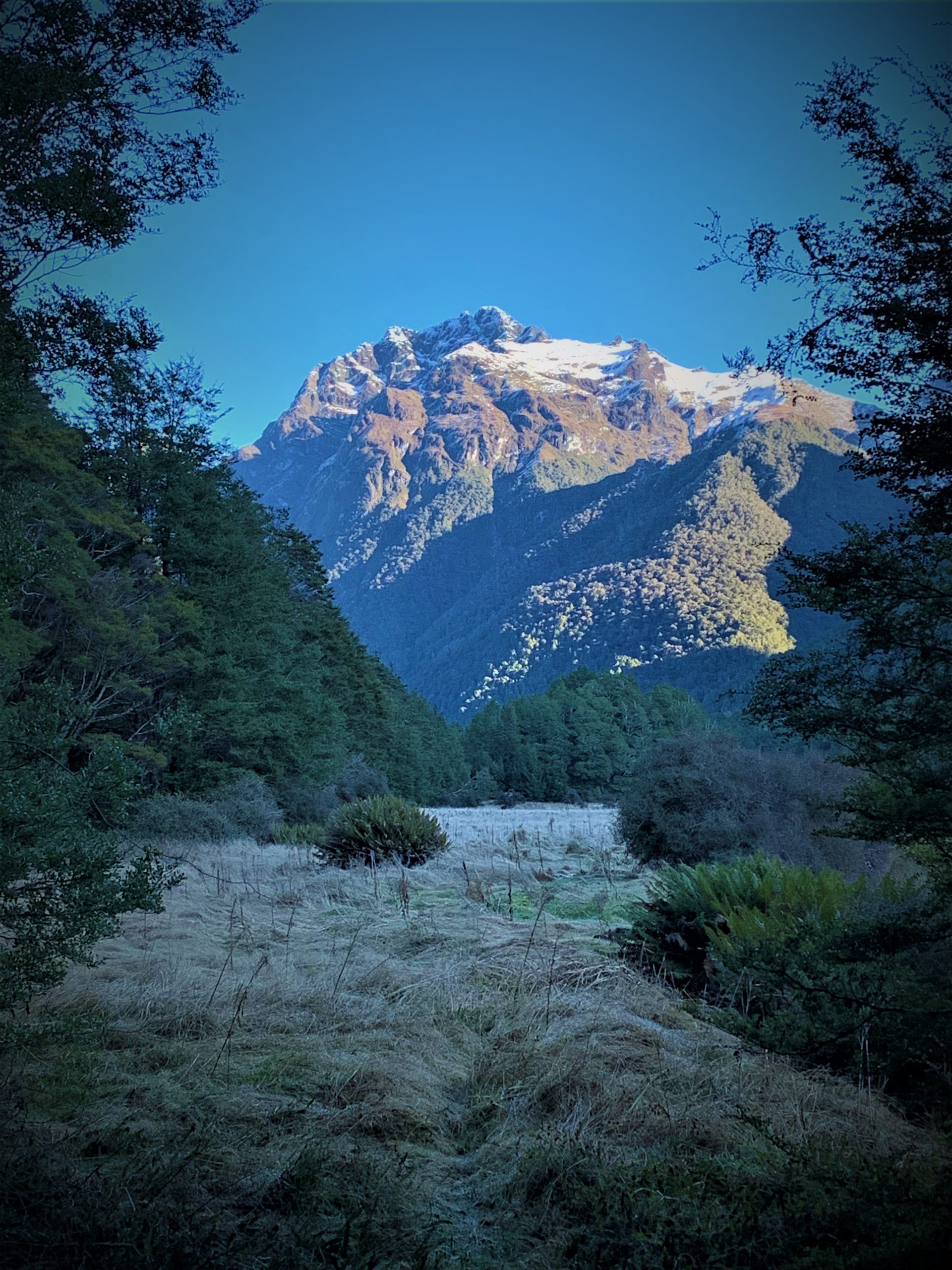 the-coolest-coldness-part-one-nz-hikes